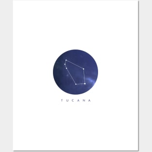 Tucana Constellation Posters and Art